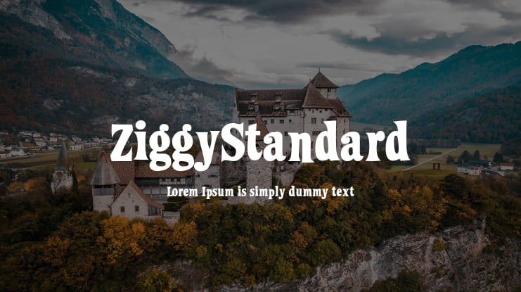 ZiggyStandard Font