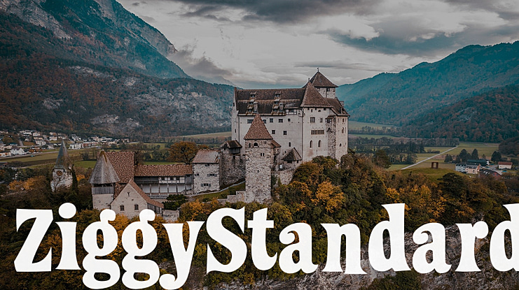 ZiggyStandard Font