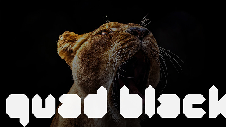 Quad Font Family