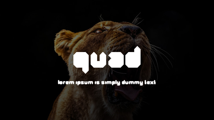 Quad Font Family