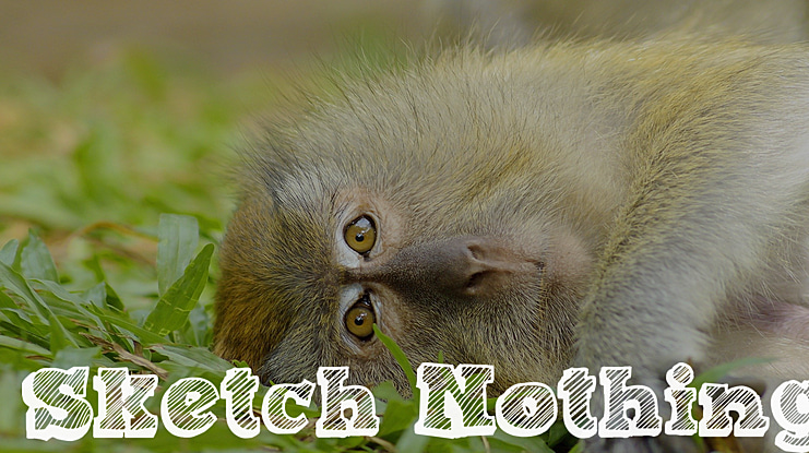 Sketch Nothing Font