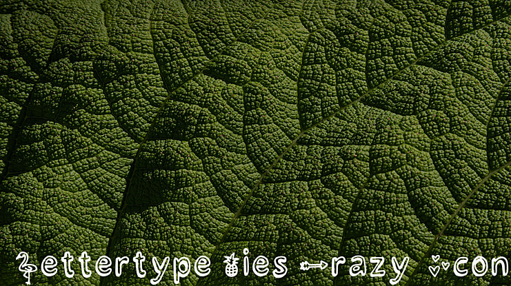 Lettertype Mies Crazy Icons Font