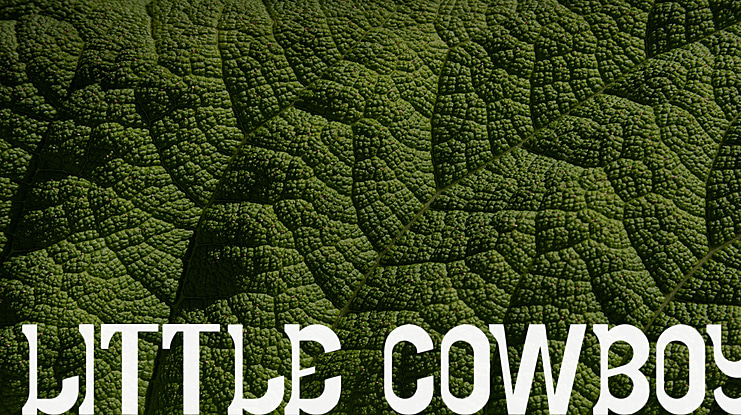 LITTLE COWBOY Font