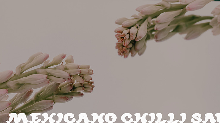 MEXICANO CHILLI SAUCE Font Family