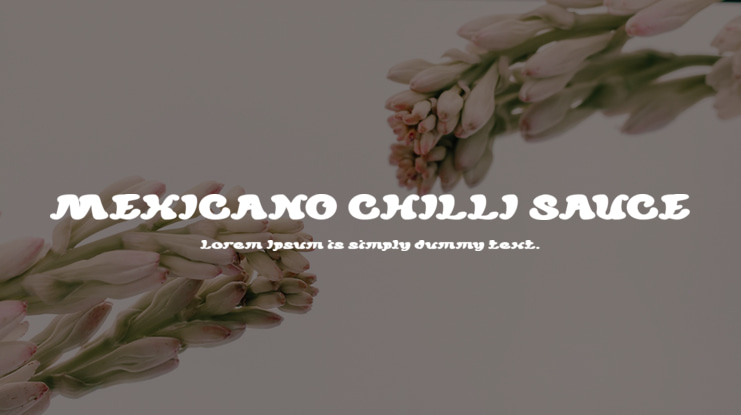 MEXICANO CHILLI SAUCE Font Family
