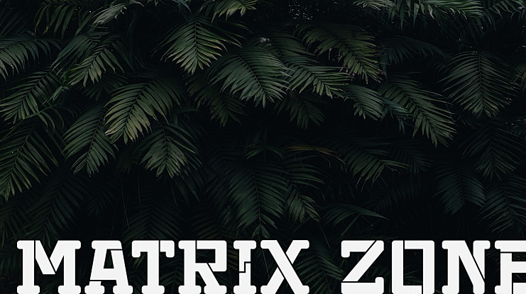 Matrix Zone Font
