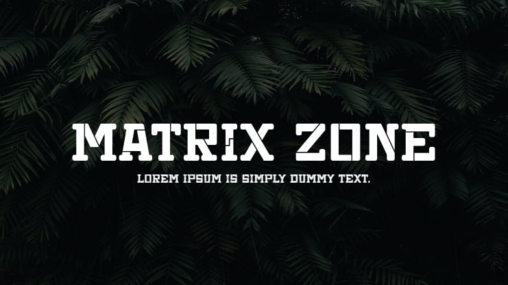 Matrix Zone Font