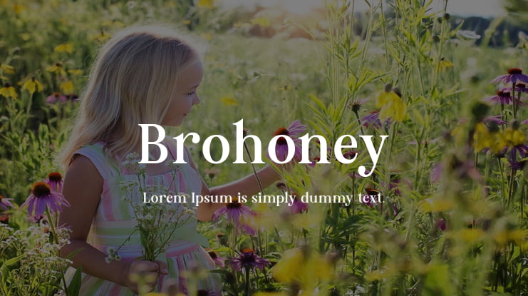 Brohoney Font