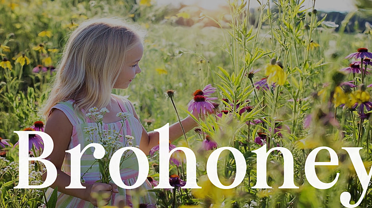 Brohoney Font