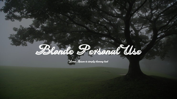 Blonde Personal Use Font