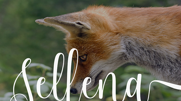 Sellena Font