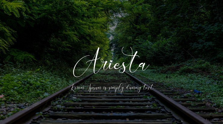 Ariesta Font Family