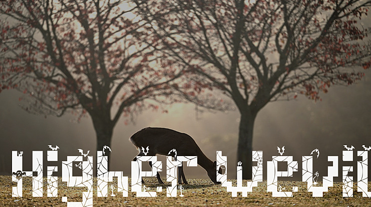 Higher Wevil Font Family