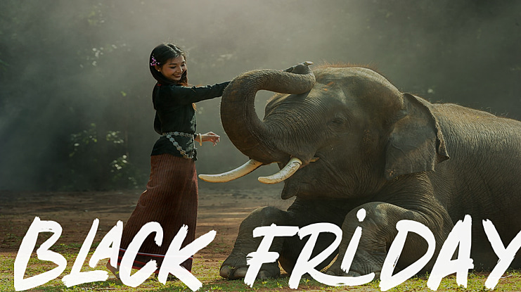 BLACK FRIDAY Font