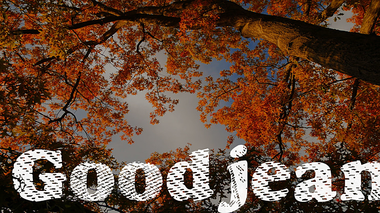 Goodjean Font Family