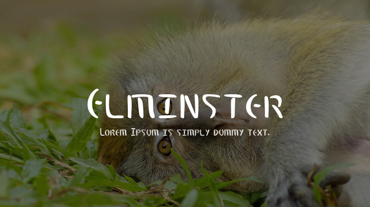 Elminster Font