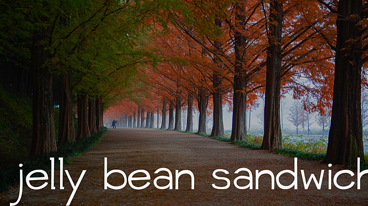 jelly bean sandwich Font