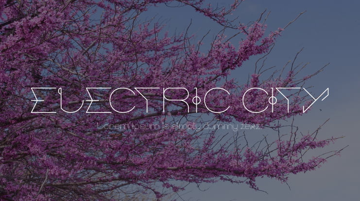 ELECTRIC CITY Font Family