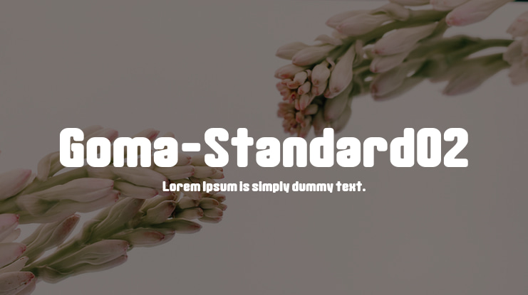 Goma-Standard02 Font