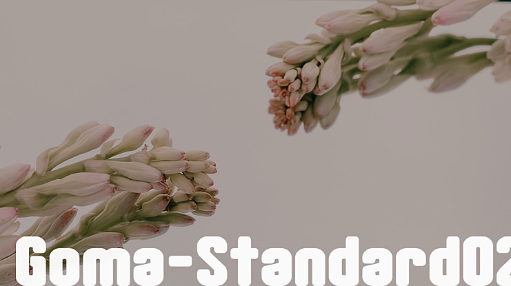 Goma-Standard02 Font