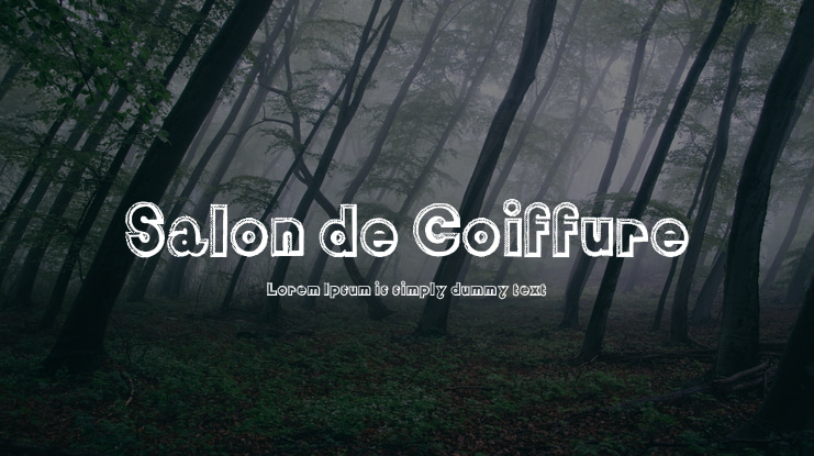 Salon de Coiffure Font