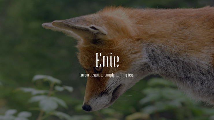 Enie Font