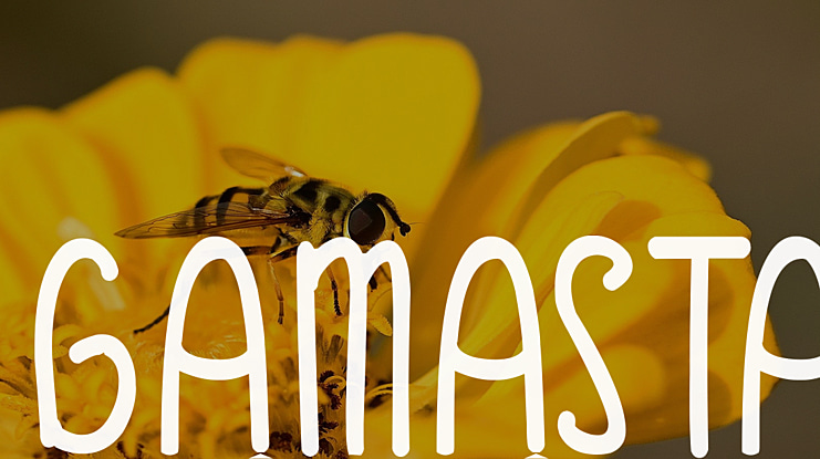 GAMASTA Font