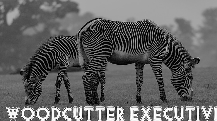 woodcutter executive Font