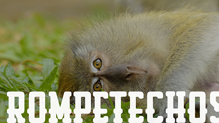 Rompetechos Font