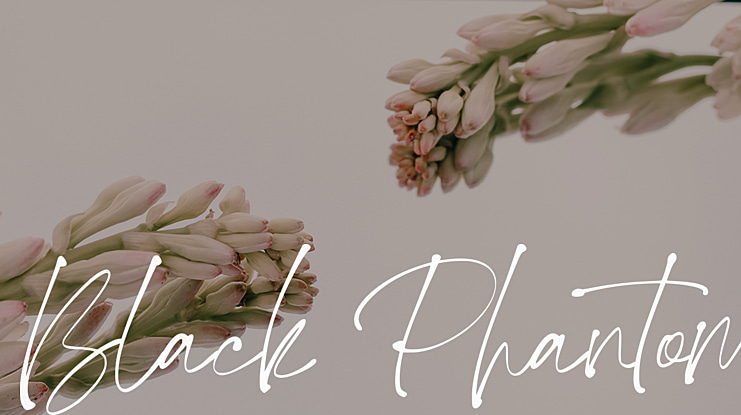 Black Phantom Font