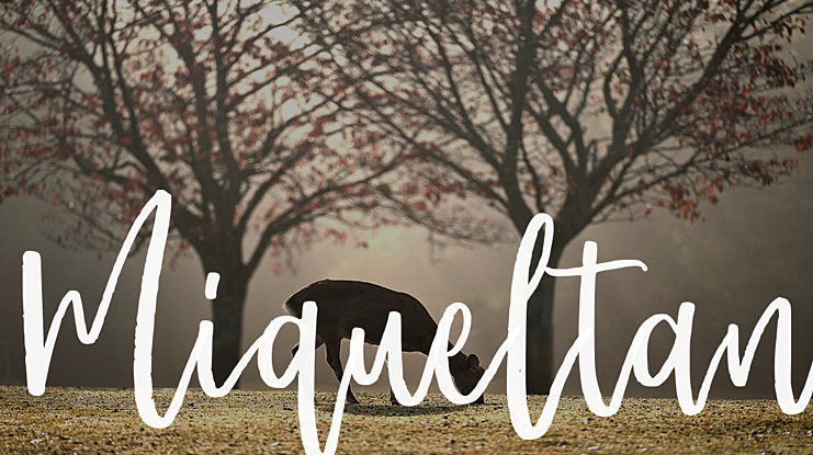 Miqueltan Font