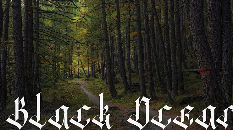 Black Ocean Font