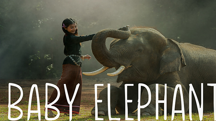 Baby Elephant Font