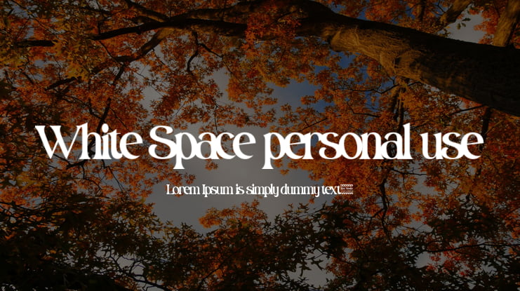 White Space personal use Font