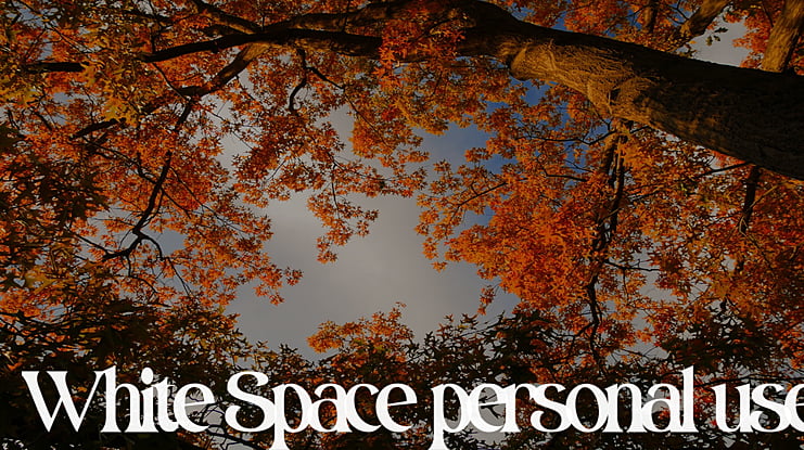 White Space personal use Font