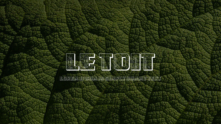 Le Toit Font Family