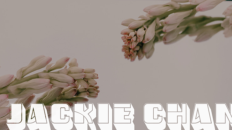 Jackie Chan Font