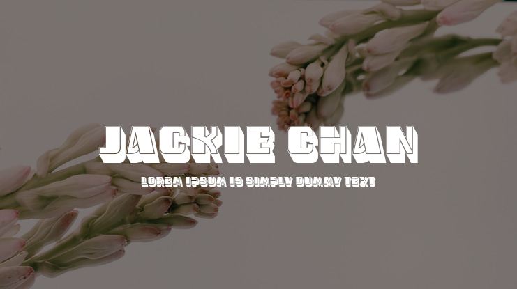 Jackie Chan Font