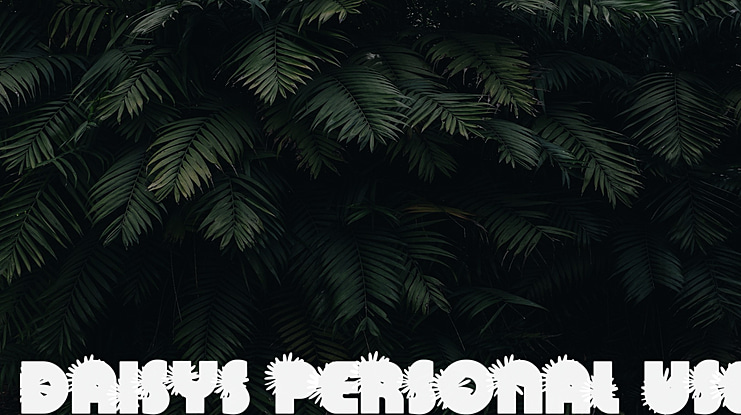 DAISYS PERSONAL USE Font Family