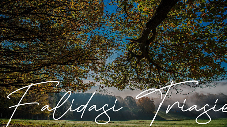 Falidasi Triasie Font