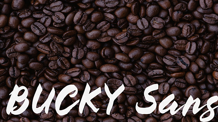 BUCKY Sans Font