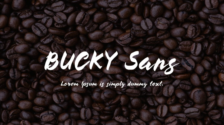 BUCKY Sans Font