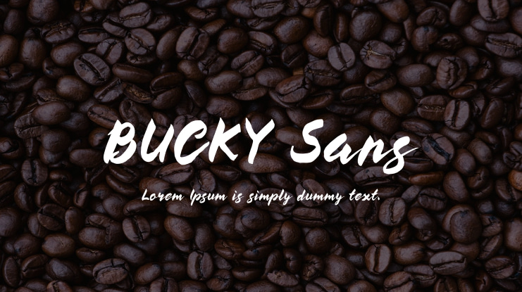 BUCKY Sans Font