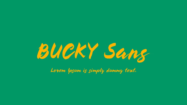 BUCKY Sans Font