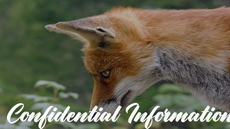 Confidential Information Font