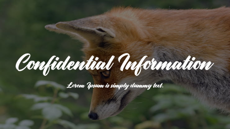 Confidential Information Font