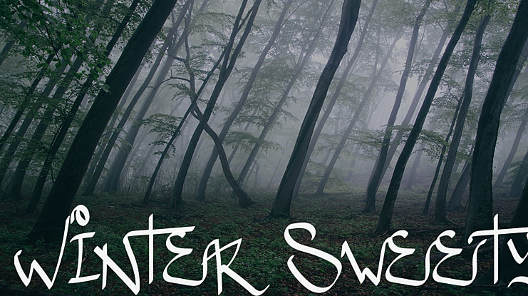 Winter Sweety Font