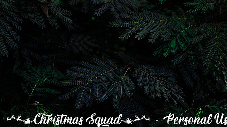 Christmas Squad - Personal Use Font