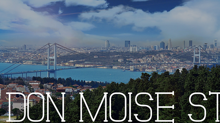 Don Moise St Font