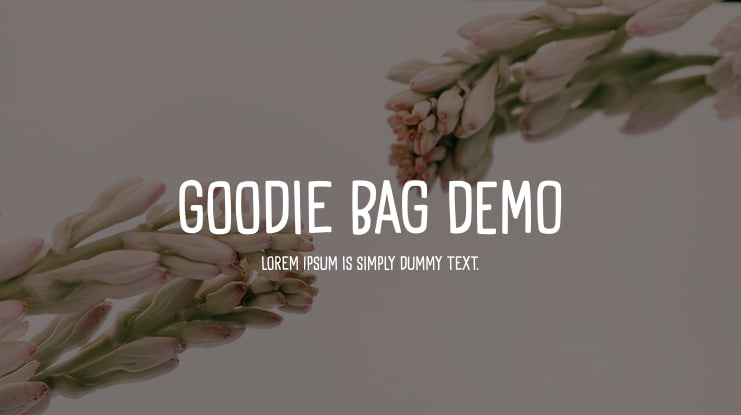 Goodie Bag DEMO Font Family